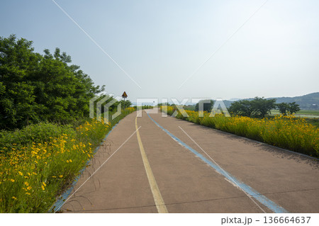 Bicycle path along the Geumgang River 136664637