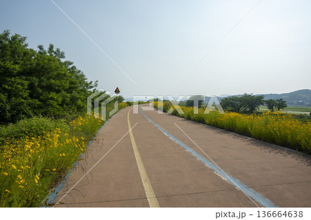 Bicycle path along the Geumgang River 136664638