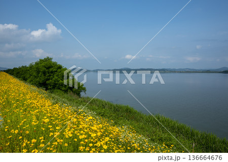 Bicycle path along the Geumgang River 136664676