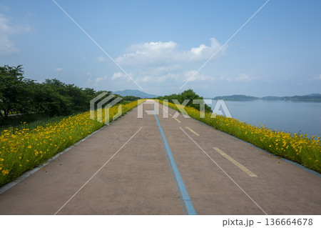 Bicycle path along the Geumgang River Bicycle path along the Geumgang River 136664678
