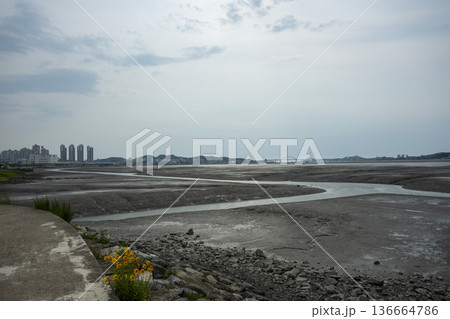 Bicycle path along the Geumgang River Bicycle path along the Geumgang River 136664786