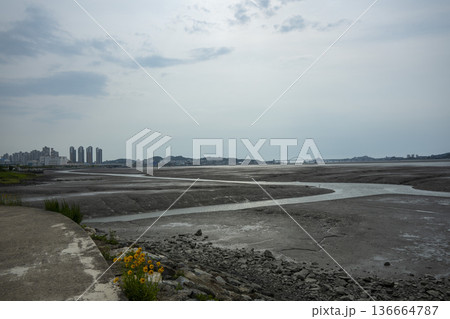 Bicycle path along the Geumgang River 136664787
