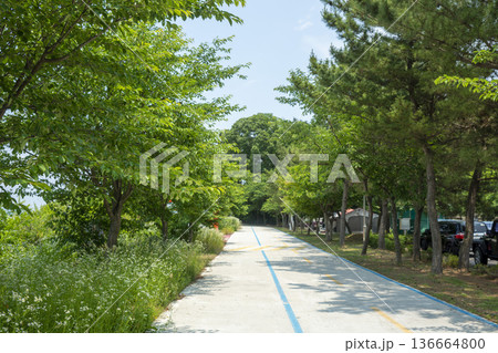 Bicycle path along the Geumgang River Bicycle path along the Geumgang River 136664800