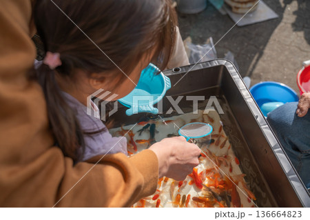 金魚すくいをする女の子 136664823