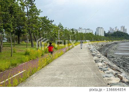 Bicycle path along the Geumgang River Bicycle path along the Geumgang River 136664854