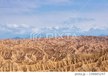 Dry weathered rock formations of Aksai Canyon Kyrgyzstan. Arid landscape with snow mountain peaks on horizon for travel and geology. Dry weathered rock formations of Aksai Canyon Kyrgyzstan. Arid landscape with snow mountain peaks on horizon for travel and geology. 136665247
