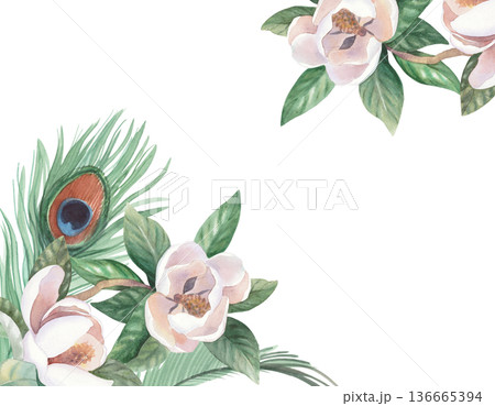 Frame of the peacock's feathers and the magnolia. Handmade watercolor illustration. For cards, cover, wallpaper, prints, product labels and fabric. 136665394