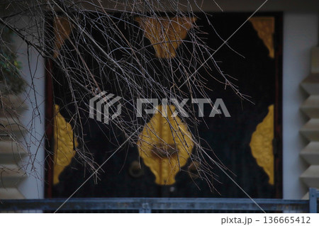 東京・新田神社の静寂 136665412