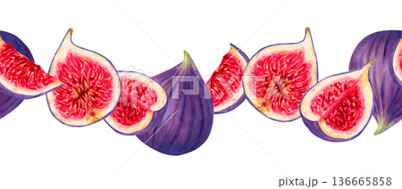 Seamless horizontal banner with whole and sliced purple figs. Botanical watercolor illustration. Hand drawn isolated art. Border for farm packaging, menus and recipes. Fruit harvest, production Seamless horizontal banner with whole and sliced purple figs. Botanical watercolor illustration. Hand drawn isolated art. Border for farm packaging, menus and recipes. Fruit harvest, production 136665858