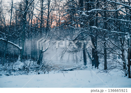 Misty winter forest with frozen stream and snow, atmospheric Nordic landscape Misty winter forest with frozen stream and snow, atmospheric Nordic landscape 136665921