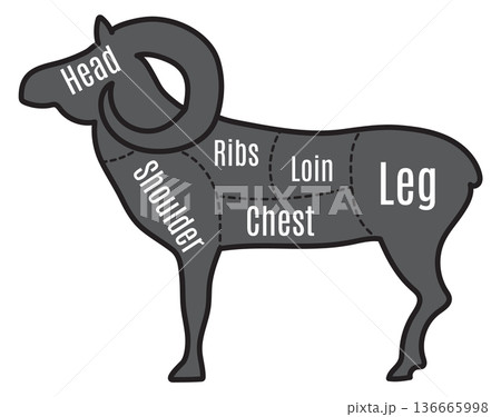 Farm animal butchery diagram. Sheep meat cut Farm animal butchery diagram. Sheep meat cut 136665998
