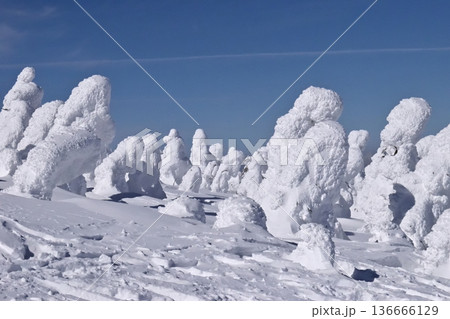 西大巓(西吾妻山)の樹氷・スノーモンスター 136666129