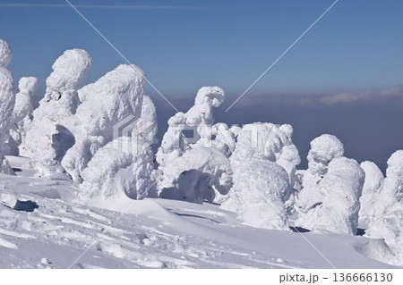 西大巓(西吾妻山)の樹氷・スノーモンスター 136666130