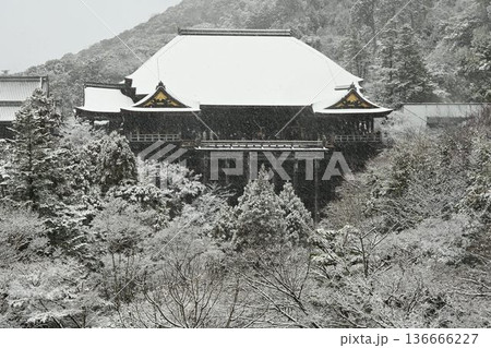世界文化遺産　京都東山　清水寺　雪景色 136666227