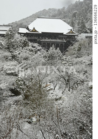 世界文化遺産 京都東山 清水寺 雪景色 世界文化遺産 京都東山 清水寺 雪景色 136666229