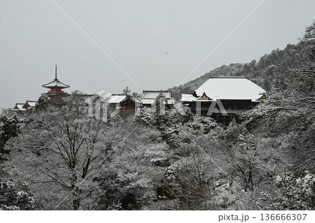 世界文化遺産 京都東山 清水寺 雪景色 世界文化遺産 京都東山 清水寺 雪景色 136666307