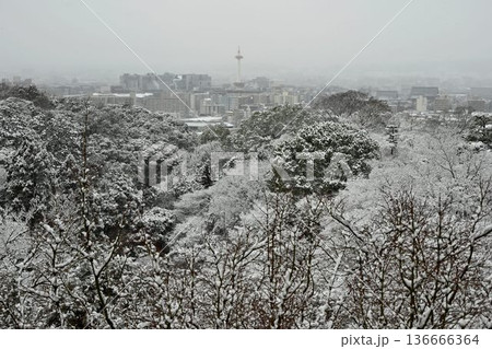 世界文化遺産 京都東山 清水寺 雪景色 世界文化遺産 京都東山 清水寺 雪景色 136666364