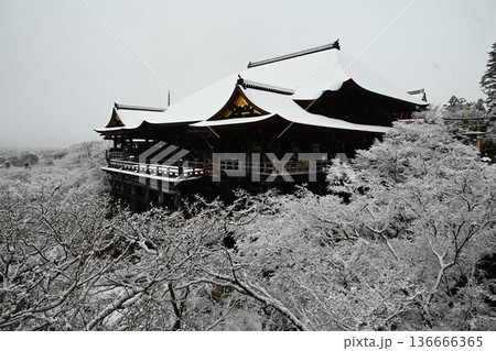 世界文化遺産 京都東山 清水寺 雪景色 世界文化遺産 京都東山 清水寺 雪景色 136666365
