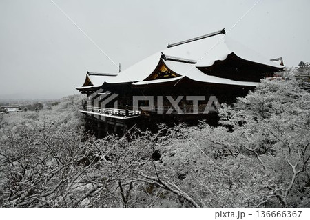 世界文化遺産 京都東山 清水寺 雪景色 世界文化遺産 京都東山 清水寺 雪景色 136666367