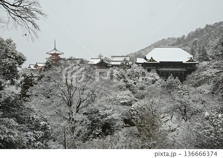 世界文化遺産 京都東山 清水寺 雪景色 世界文化遺産 京都東山 清水寺 雪景色 136666374