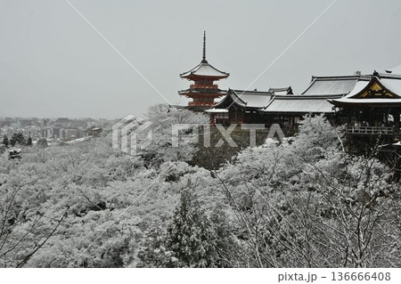 世界文化遺産 京都東山 清水寺 雪景色 世界文化遺産 京都東山 清水寺 雪景色 136666408