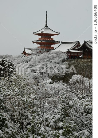 世界文化遺産　京都東山　清水寺　雪景色 136666409