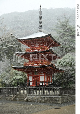 世界文化遺産　京都東山　清水寺　雪景色 136666468