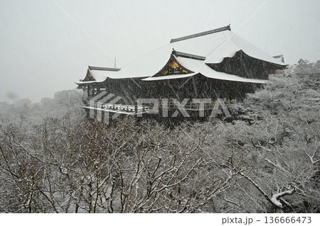 世界文化遺産 京都東山 清水寺 雪景色 世界文化遺産 京都東山 清水寺 雪景色 136666473
