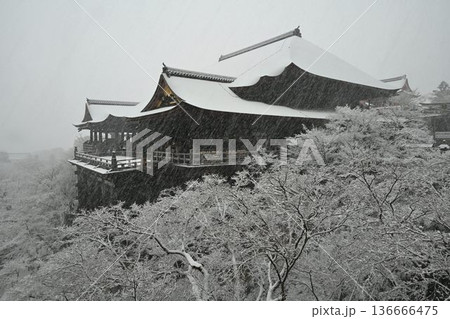 世界文化遺産 京都東山 清水寺 雪景色 世界文化遺産 京都東山 清水寺 雪景色 136666475