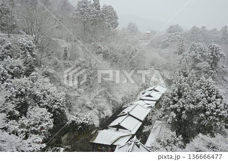 世界文化遺産 京都東山 清水寺 雪景色 世界文化遺産 京都東山 清水寺 雪景色 136666477