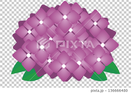 Pink hydrangea simple path data Pink hydrangea simple path data 136666480