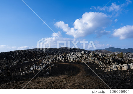 黒原に浮かび上がる白い岩肌と広大なカルスト風景 136666904