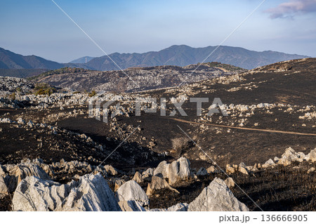 山焼きで露わになった石灰岩の群れと重なる山並み 136666905