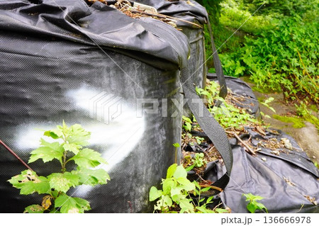 草が生い茂る黒い大型土のうと自然の風景 136666978