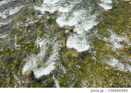 清流を流れる川のせせらぎと水面の波紋 136666980