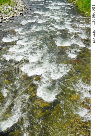 清流を流れる川のせせらぎと水面の波紋 136666981