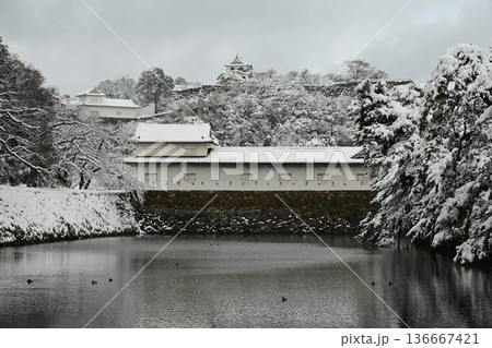 国宝　彦根城　厳冬の雪景色 136667421