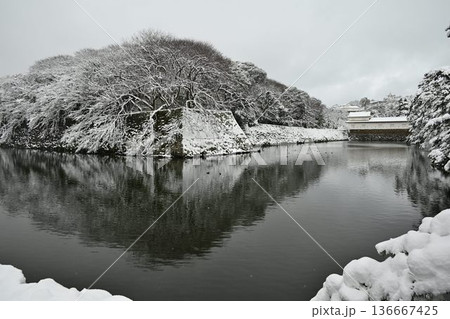 国宝　彦根城　厳冬の雪景色 136667425