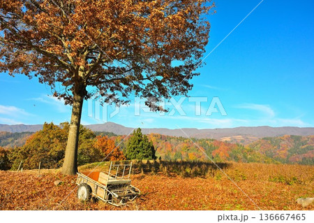 秋の野沢温泉村で見られる紅葉風景(長野県野沢温泉村) 秋の野沢温泉村で見られる紅葉風景(長野県野沢温泉村) 136667465