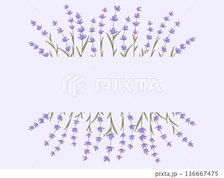 Floral layout with copy space in delicate purple 136667475