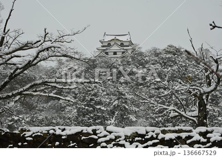 国宝　彦根城　厳冬の雪景色 136667529