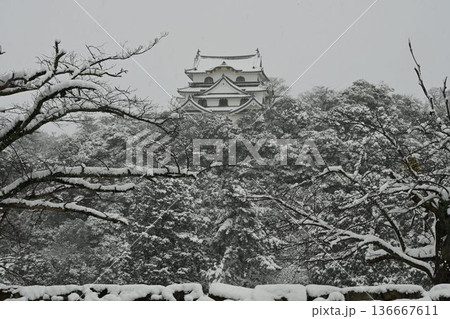 国宝　彦根城　厳冬の雪景色 136667611