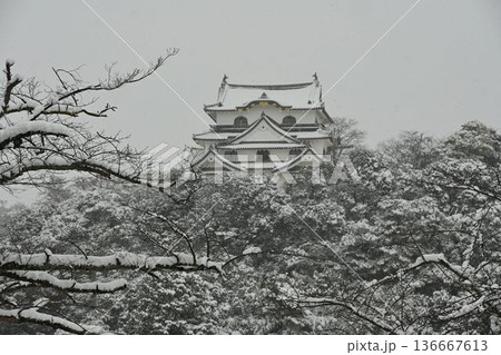 国宝 彦根城 厳冬の雪景色 国宝 彦根城 厳冬の雪景色 136667613