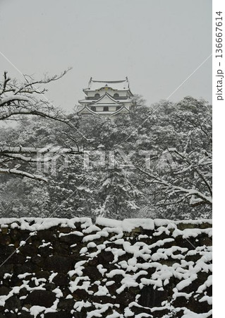 国宝 彦根城 厳冬の雪景色 国宝 彦根城 厳冬の雪景色 136667614