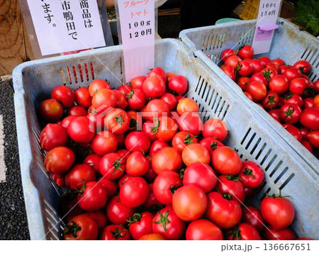 高知市の日曜市 ストリートマーケット 青空マーケット 野菜 果物 高知市の日曜市 ストリートマーケット 青空マーケット 野菜 果物 136667651