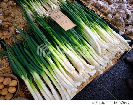 高知市の日曜市 ストリートマーケット 青空マーケット 野菜 果物 高知市の日曜市 ストリートマーケット 青空マーケット 野菜 果物 136667667