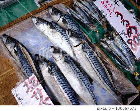 高知市の日曜市 ストリートマーケット 青空マーケット 野菜 果物 高知市の日曜市 ストリートマーケット 青空マーケット 野菜 果物 136667673
