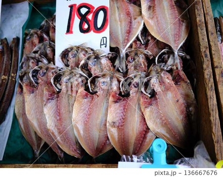 高知市の日曜市 ストリートマーケット 青空マーケット 野菜 果物 高知市の日曜市 ストリートマーケット 青空マーケット 野菜 果物 136667676