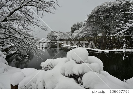 国宝　彦根城　厳冬の雪景色 136667793
