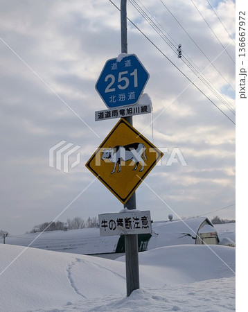 動物注意看板 136667972